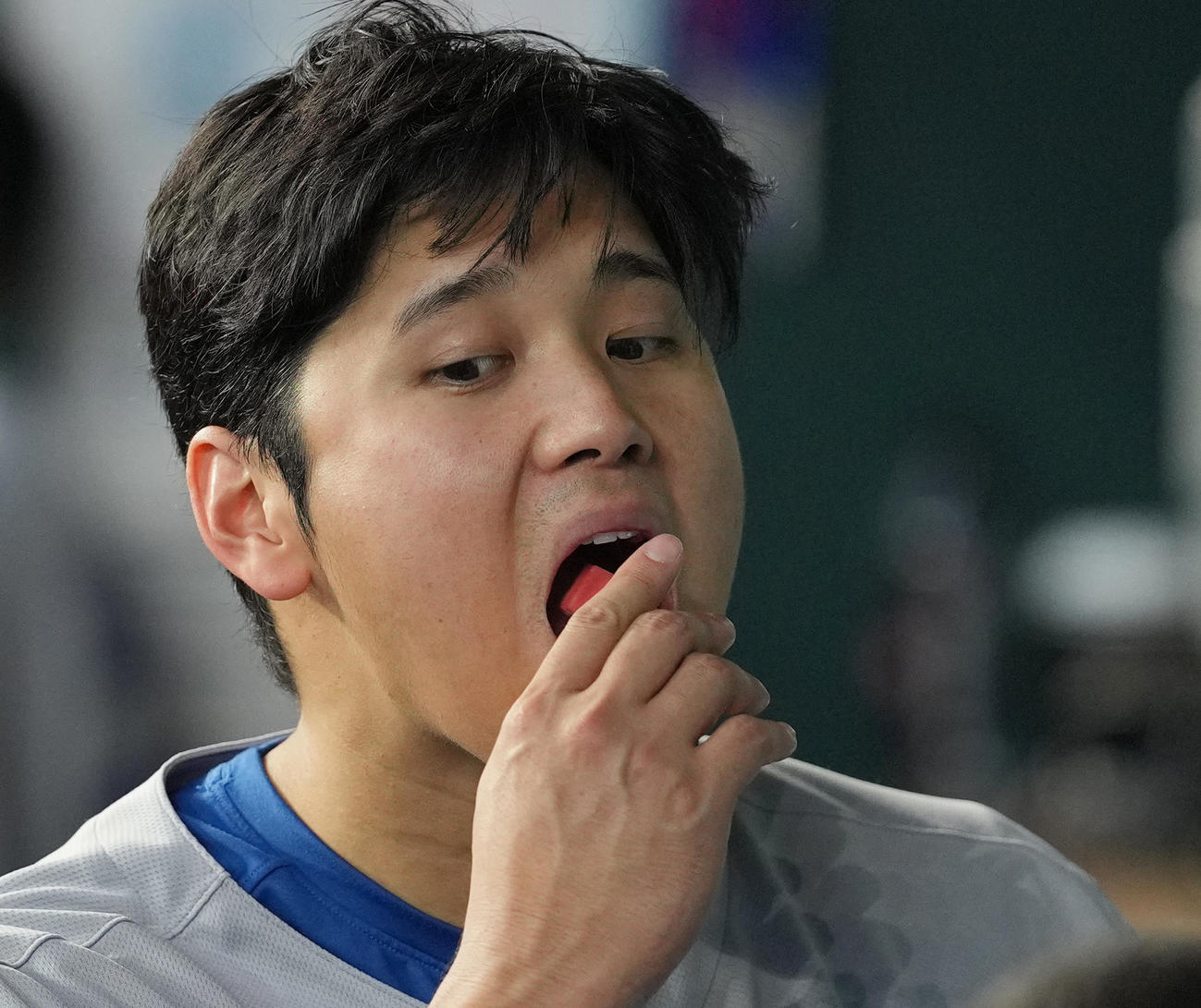 レンジャーズ対ドジャース　試合中、ベンチでガムを食べるドジャース大谷（撮影・菅敏）