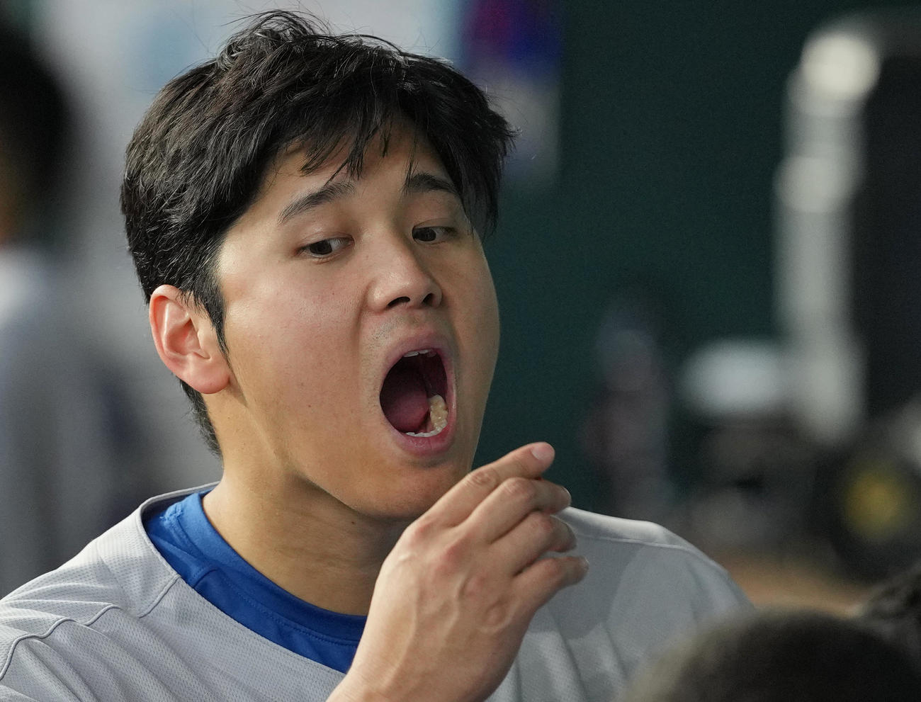 レンジャーズ対ドジャース　試合中、ベンチでガムを食べるドジャース大谷（撮影・菅敏）