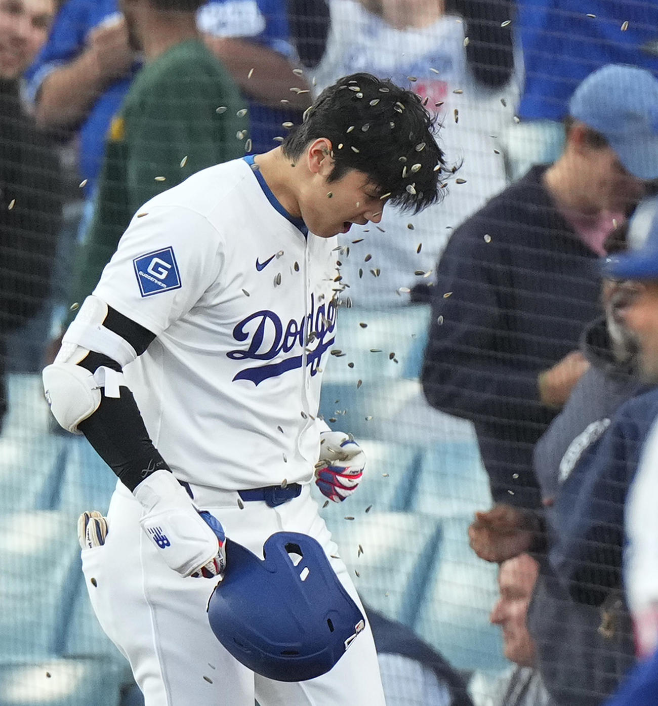 ドジャース対マーリンズ　1回裏ドジャース無死、右越えにソロ本塁打を放ち、「ヒマワリの種シャワー」で祝福される大谷（撮影・菅敏）