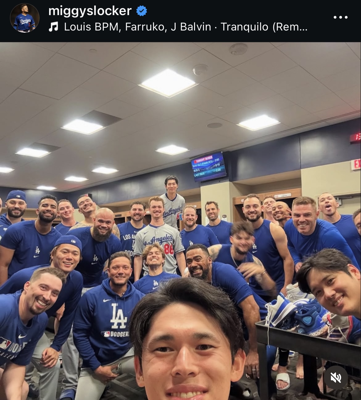 ロハスのインスタグラムから