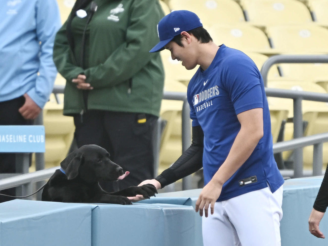 ドジャース対エンゼルス　試合前練習で犬と遊ぶドジャース大谷（撮影・滝沢徹郎）
