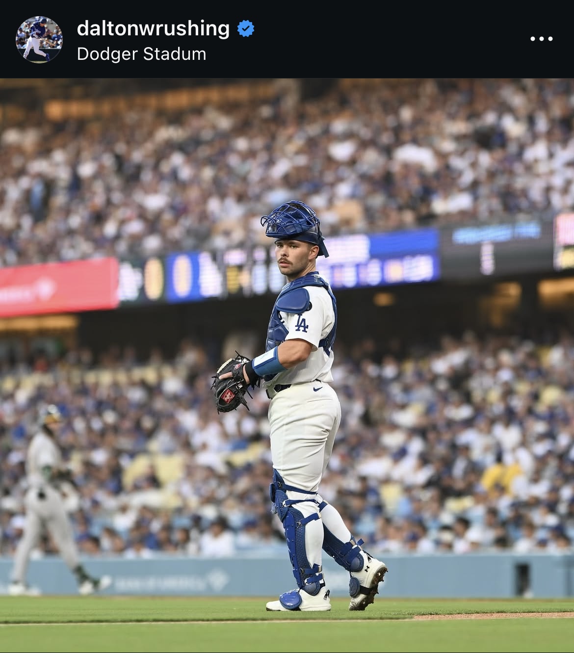 ラッシングのインスタグラムから