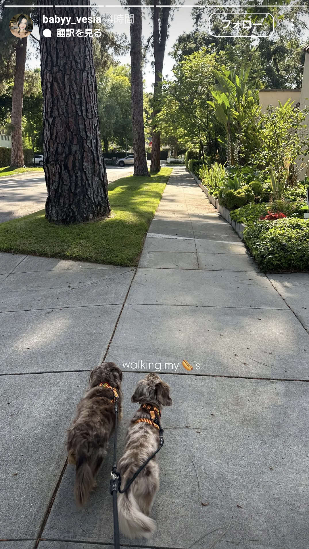 愛犬ショットを公開　ケイラ夫人のインスタグラムから