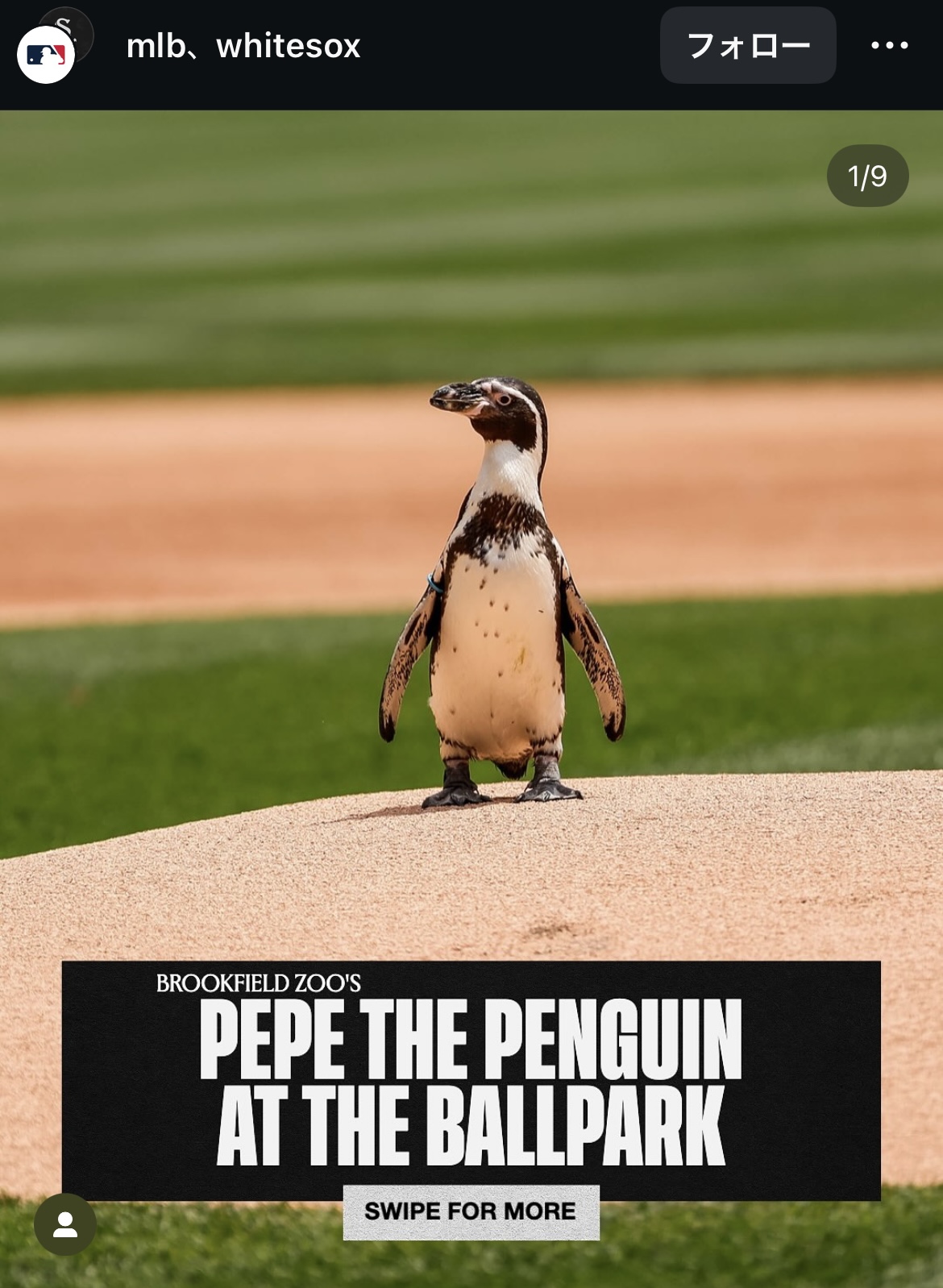 MLB公式のインスタグラムから