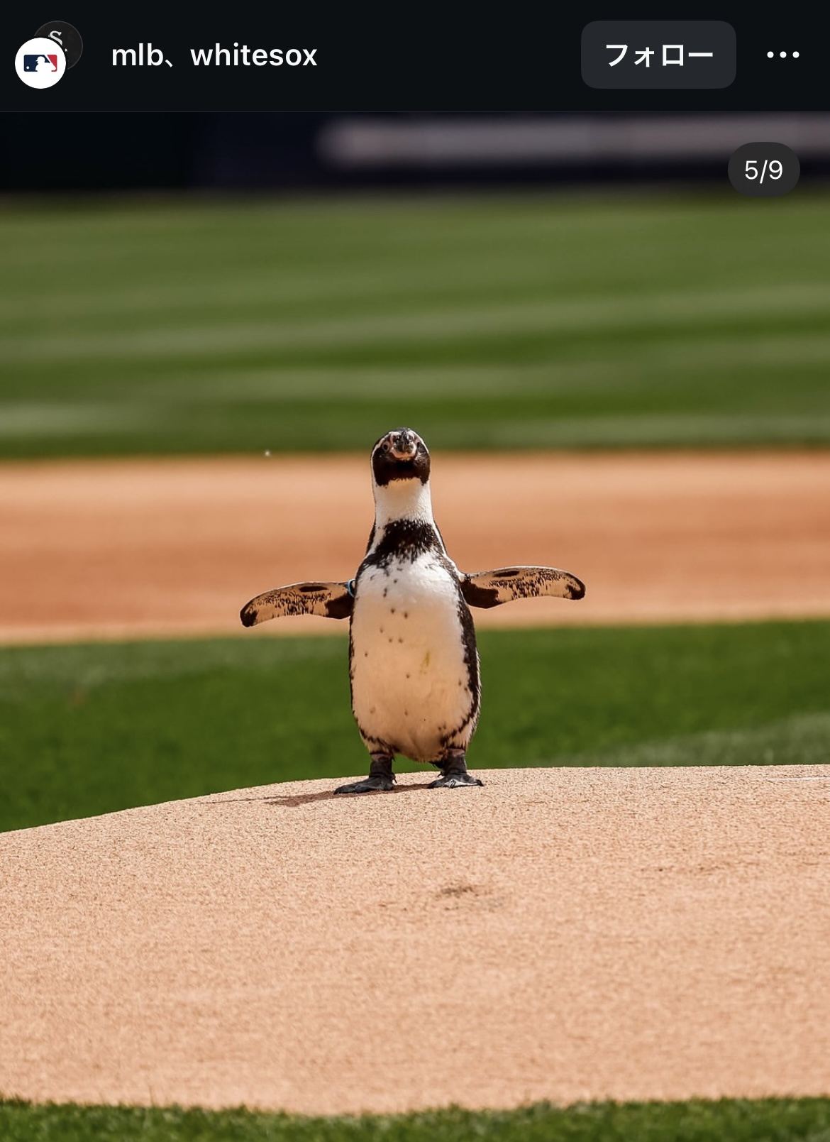 MLB公式のインスタグラムから