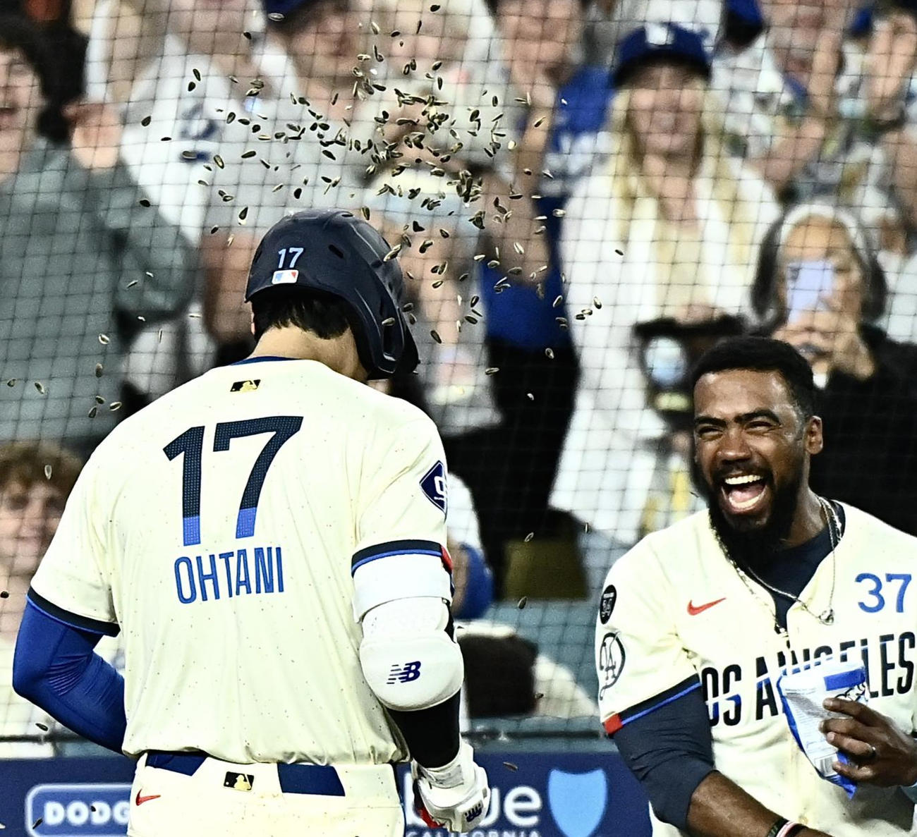 ドジャース対ジャイアンツ　6回裏ドジャース無死、ソロ本塁打を放った大谷（左）はT・ヘルナンデスからヒマワリの種シャワーで祝福される（撮影・滝沢徹郎）