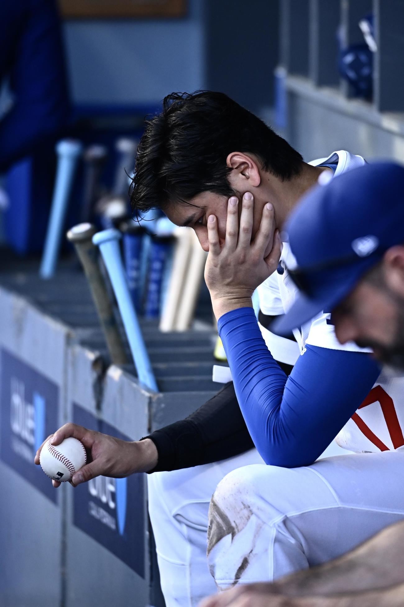 ドジャース対ジャイアンツ　ベンチボールを手に取るドジャース大谷（撮影・滝沢徹郎）