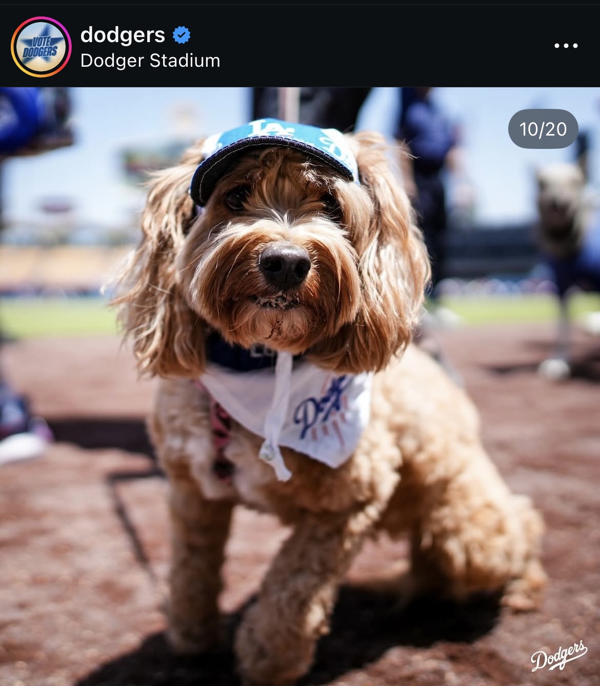 ドジャース公式インスタグラムから