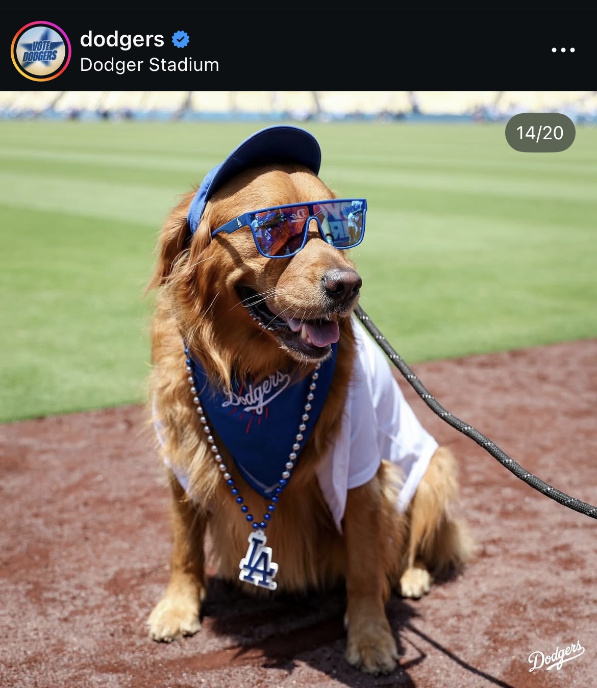 ドジャース公式インスタグラムから