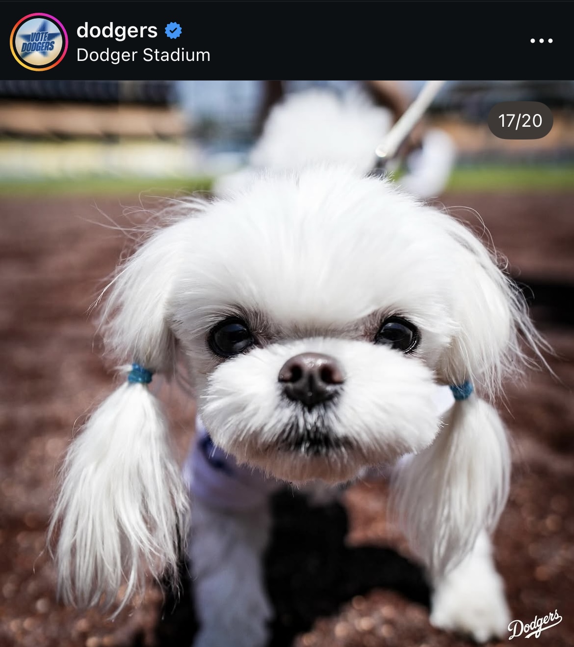 ドジャース公式インスタグラムから