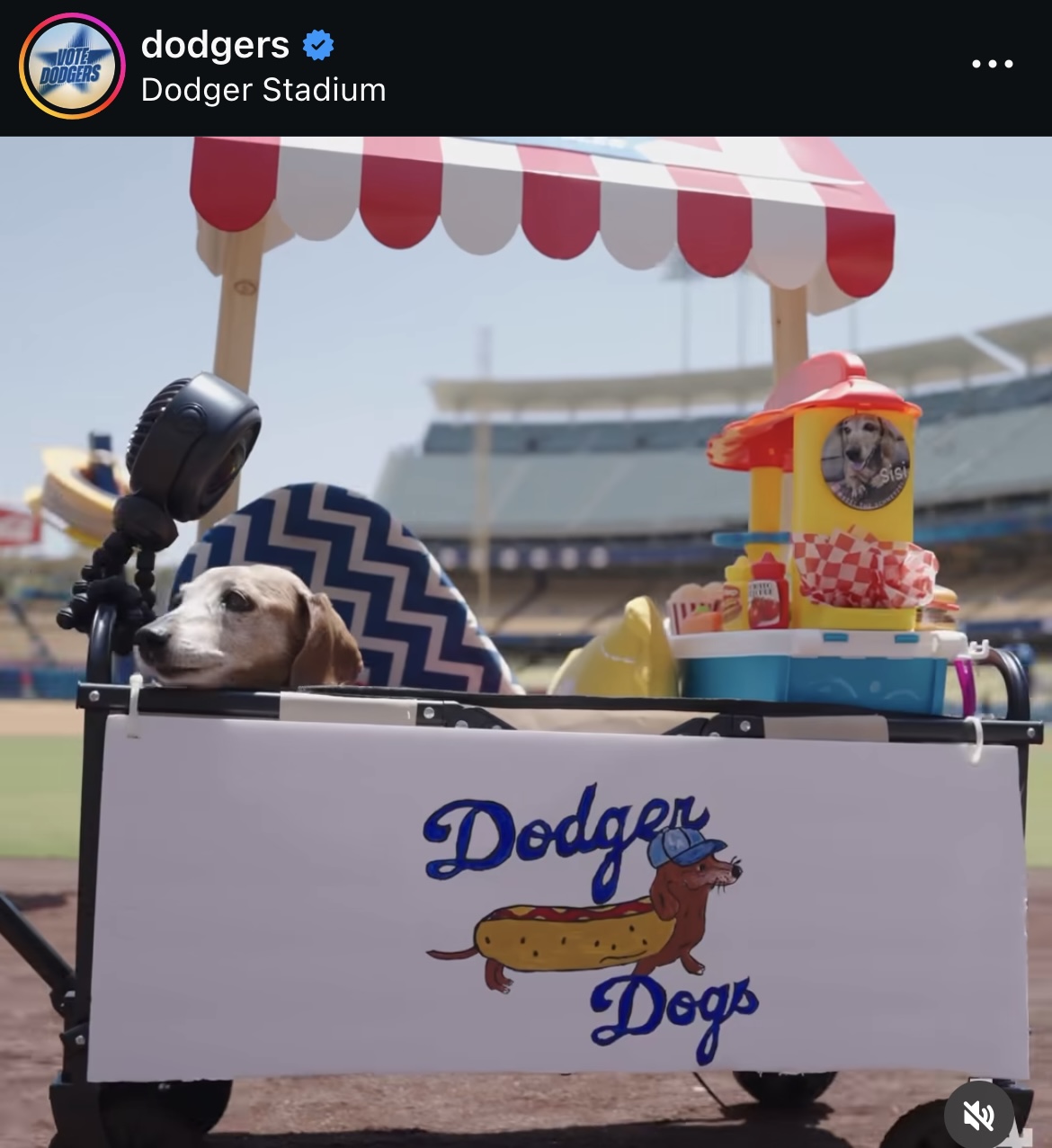 ドジャース公式インスタグラムから