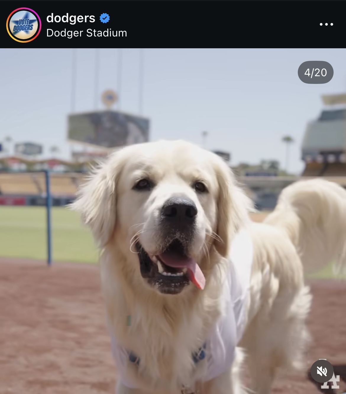 ドジャース公式インスタグラムから