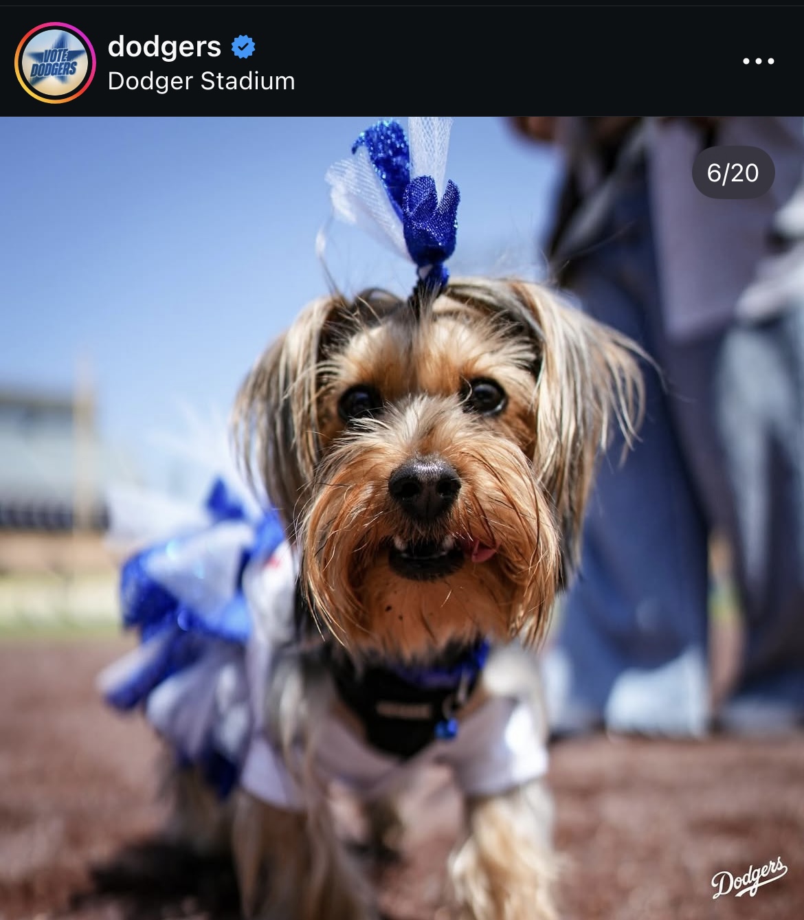 ドジャース公式インスタグラムから