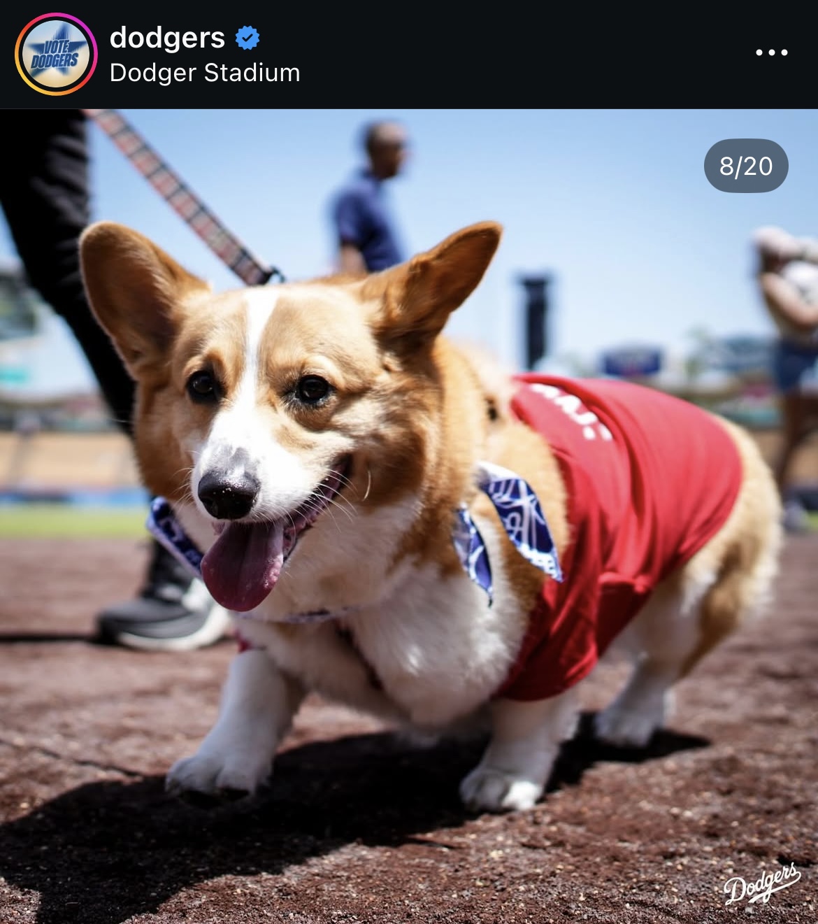 ドジャース公式インスタグラムから