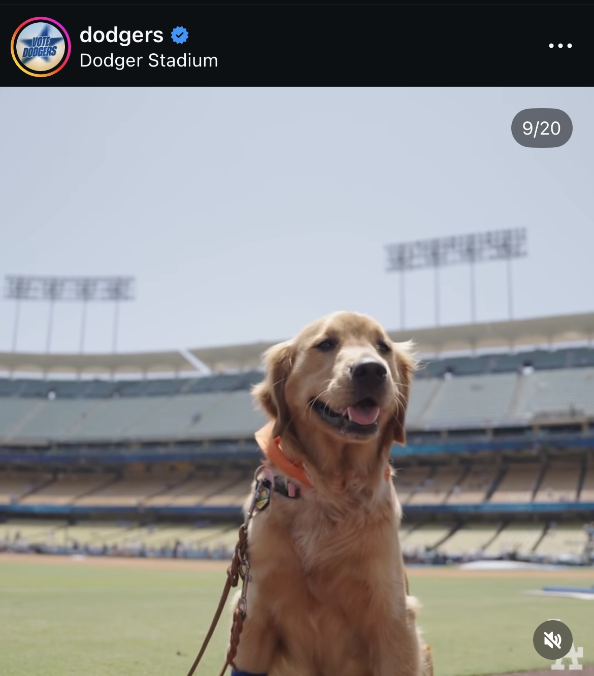 ドジャース公式インスタグラムから