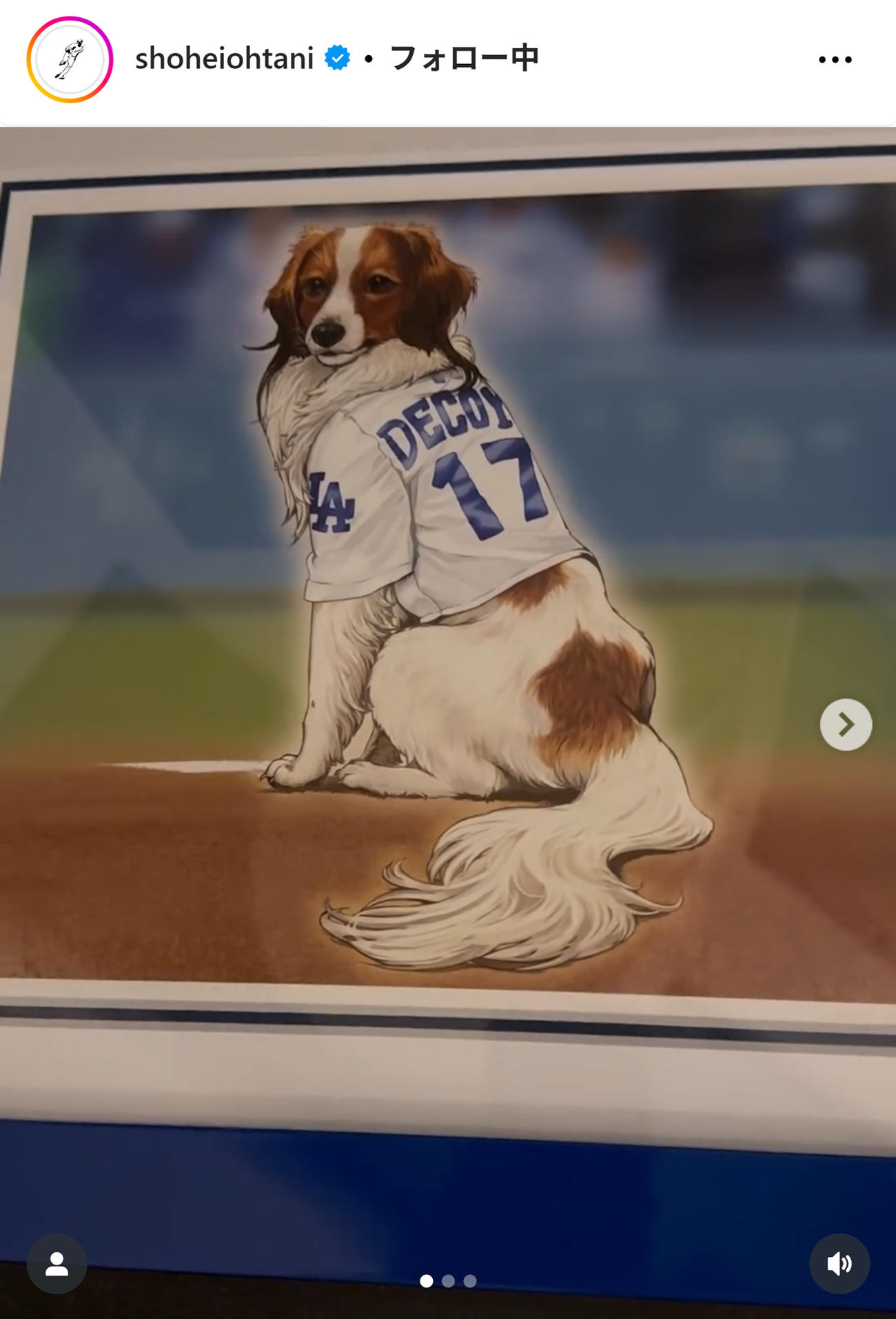 大谷翔平のインスタグラムから