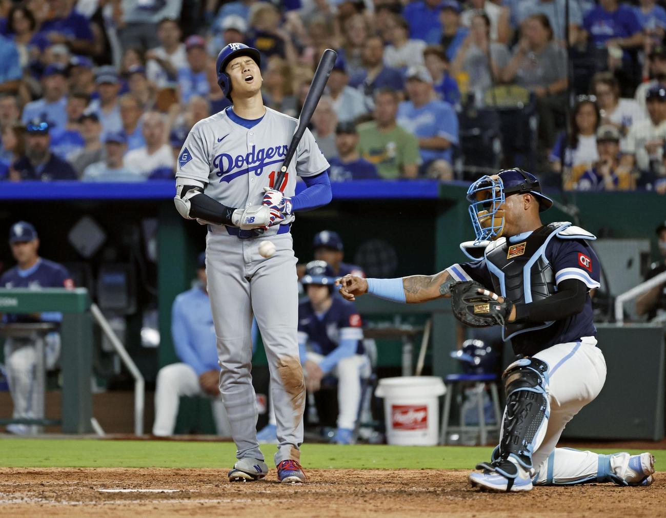ロイヤルズ戦の7回、見逃し三振に倒れたドジャース大谷（共同）