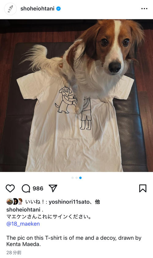 タイガース前田健太が描いたTシャツに、座るドジャース大谷翔平の愛犬デコピン