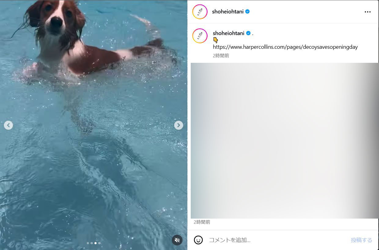 大谷翔平のインスタグラムから
