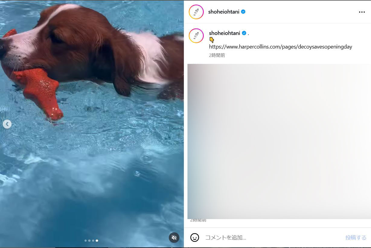大谷翔平のインスタグラムから
