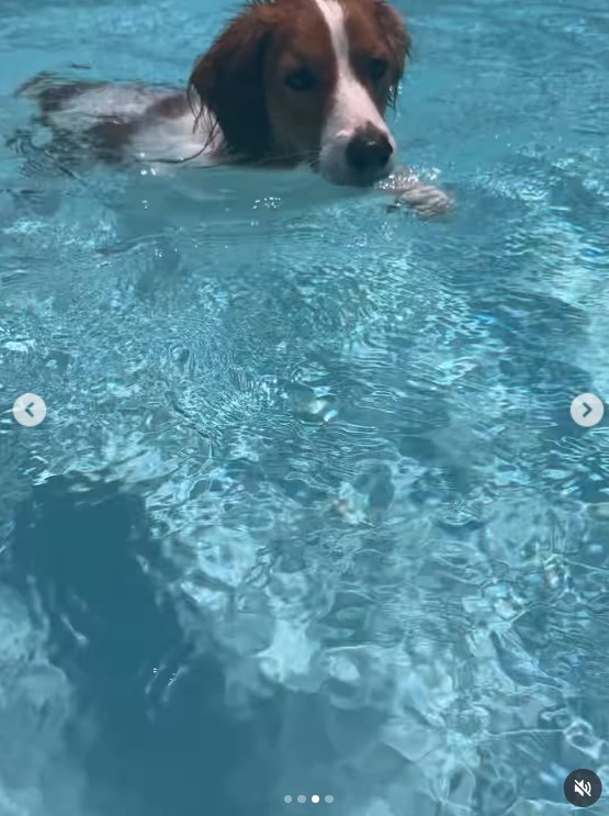 大谷翔平のインスタグラムから