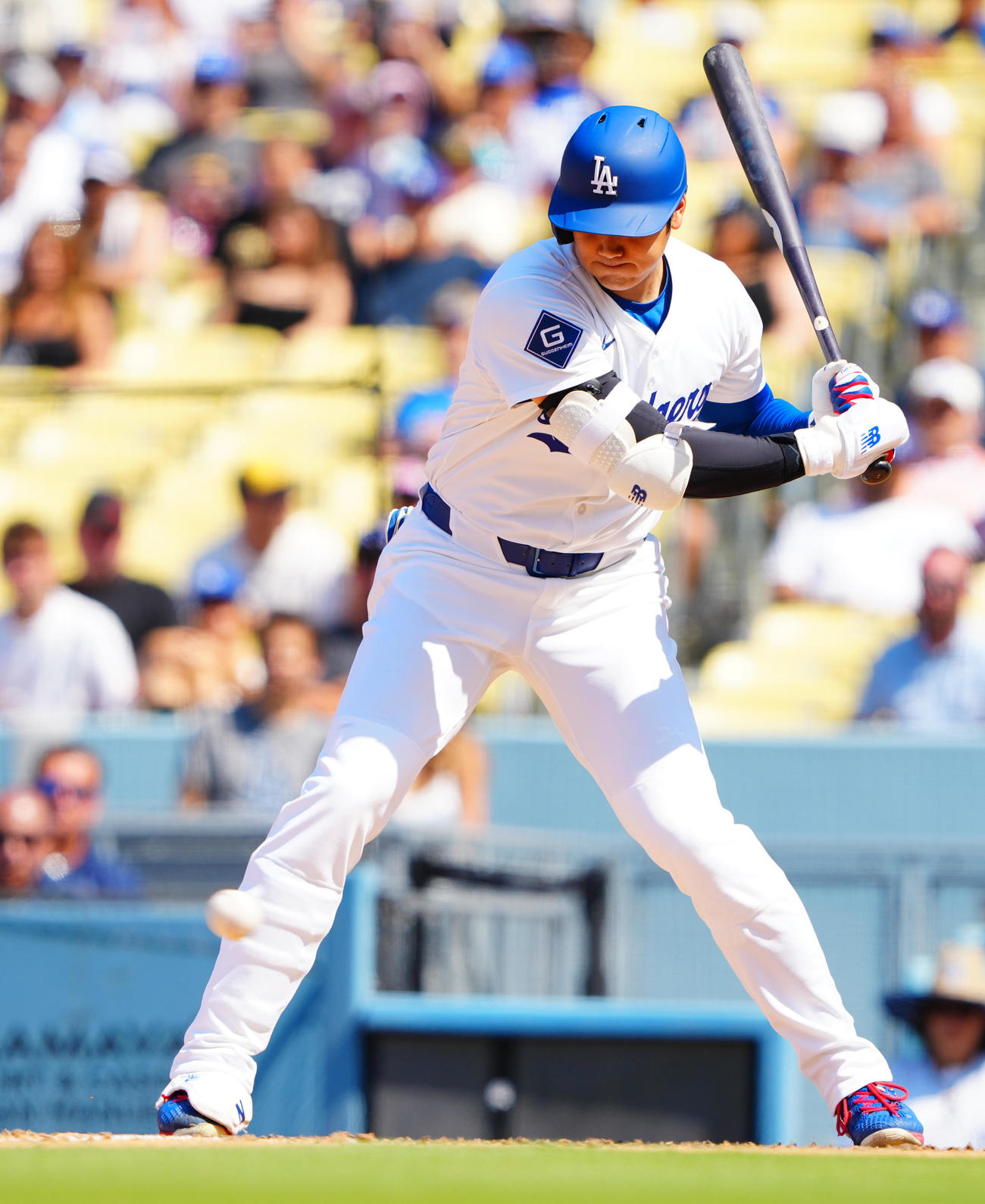 ドジャース対ブルワーズ　8回裏ドジャース2死、四球を選ぶ大谷（撮影・垰建太）
