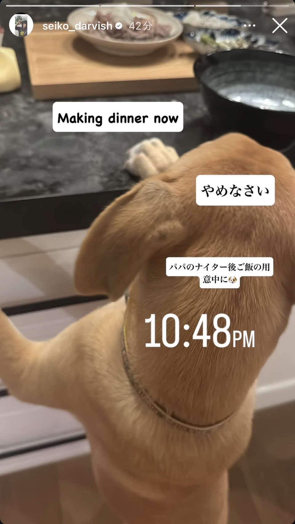 聖子さんのインスタグラムから