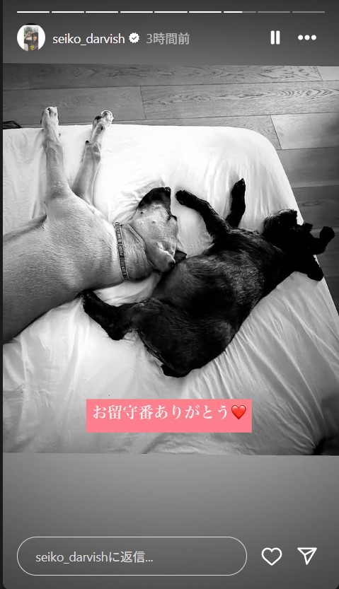 ダルビッシュの妻聖子さんのインスタグラムから