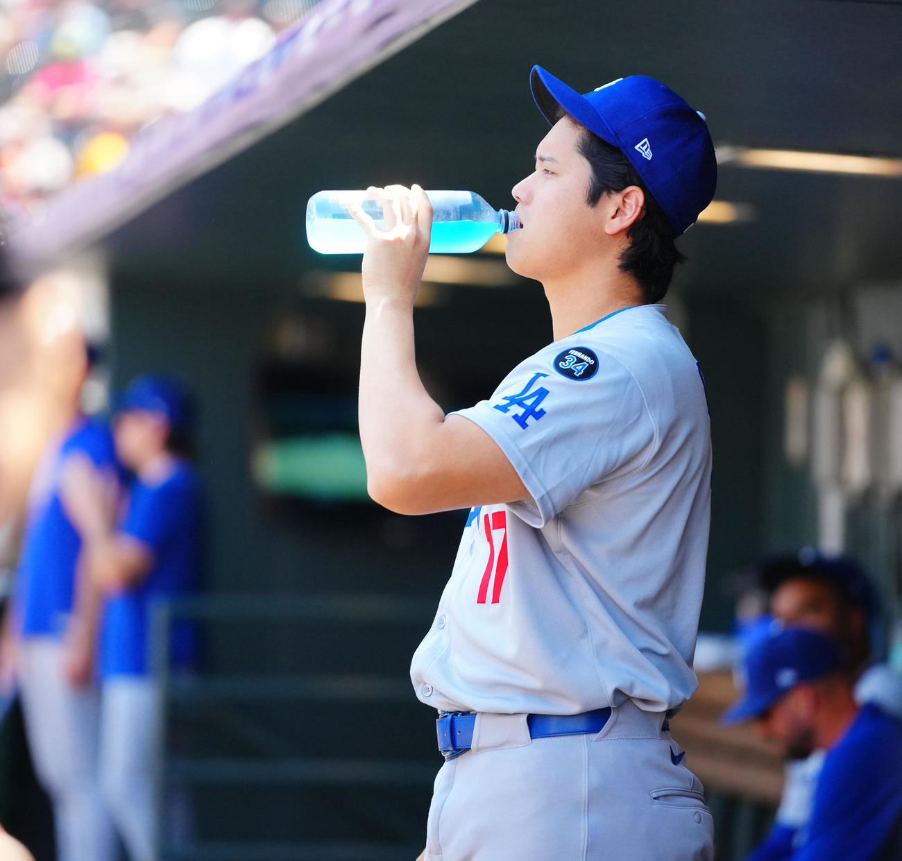 ロッキーズ対ドジャース　ベンチで水分補給するドジャース大谷（撮影・垰建太）