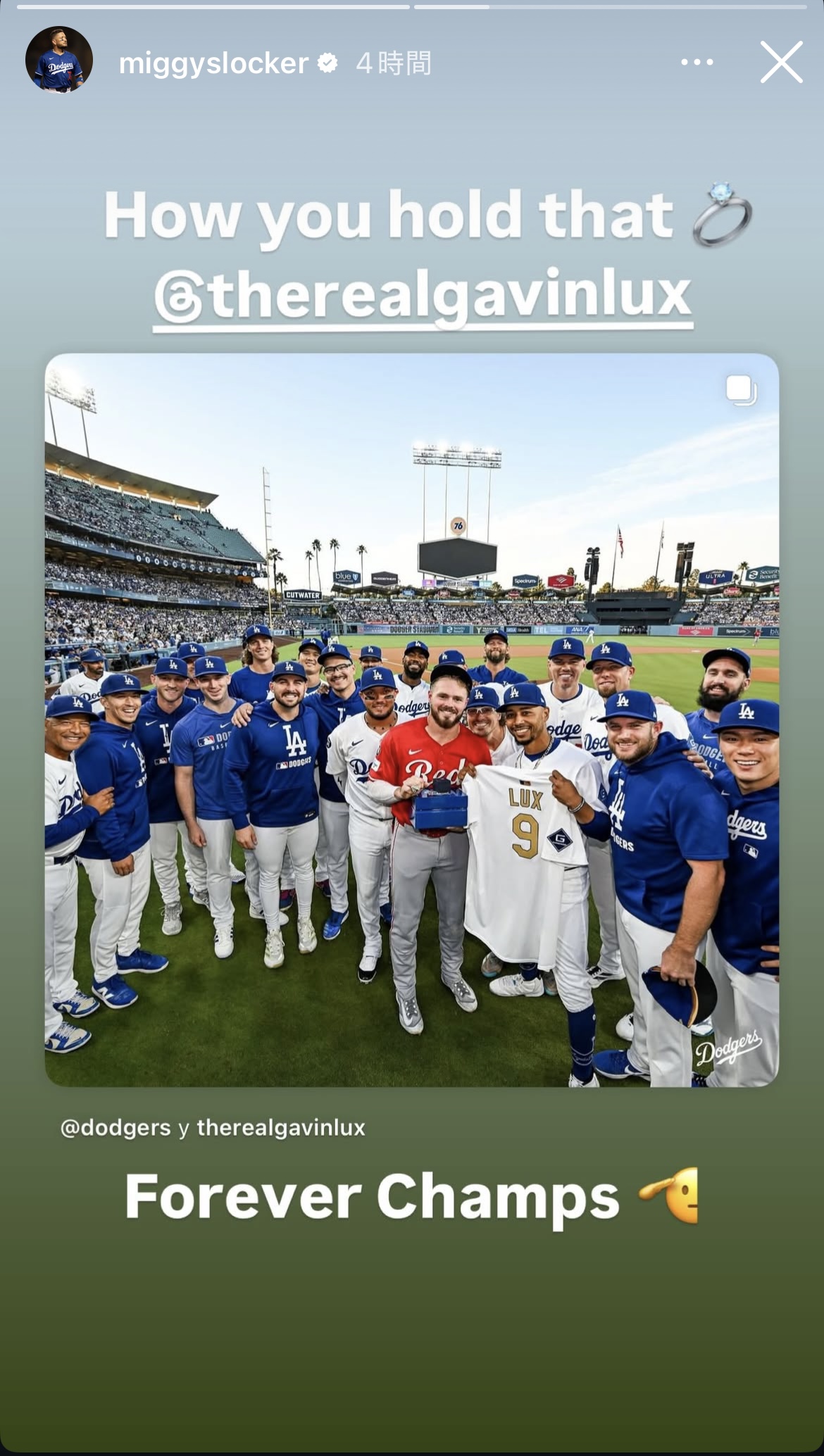 ロハスのインスタグラムから
