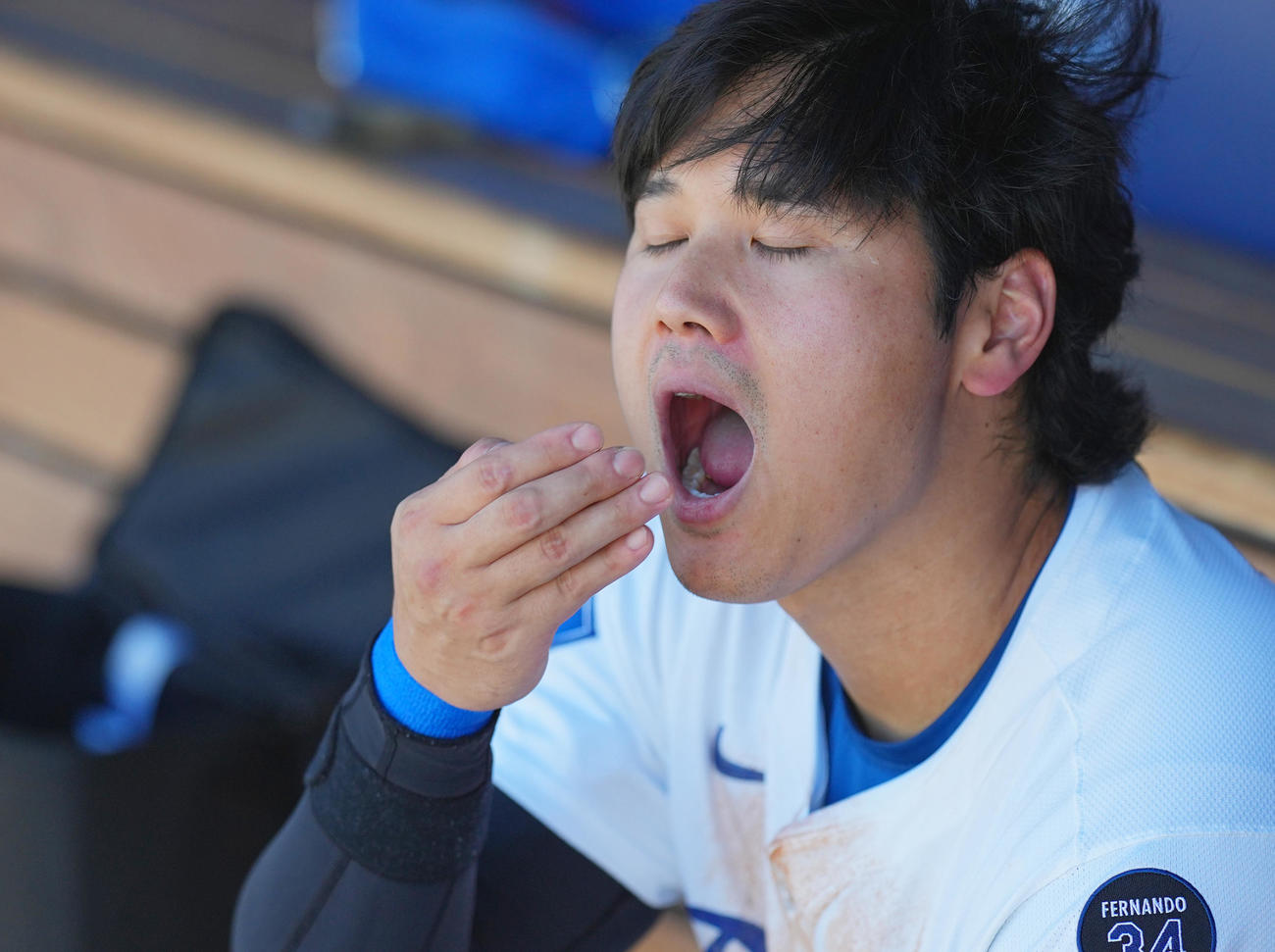 ドジャース対ダイヤモンドバックス　試合中、ベンチでヒマワリの種を食べる大谷（撮影・菅敏）