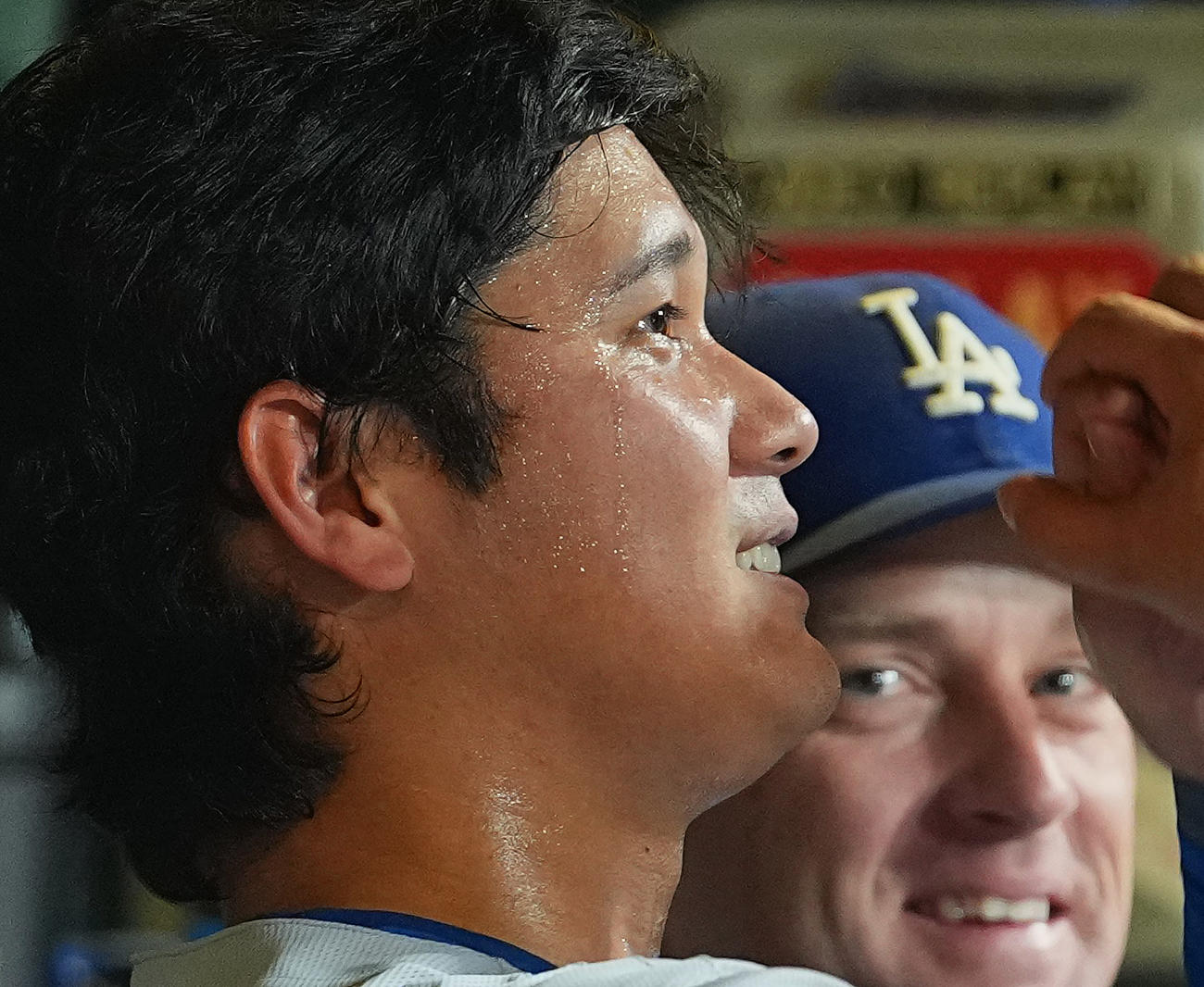 ベンチに戻り、汗を流すドジャース大谷（撮影・菅敏）