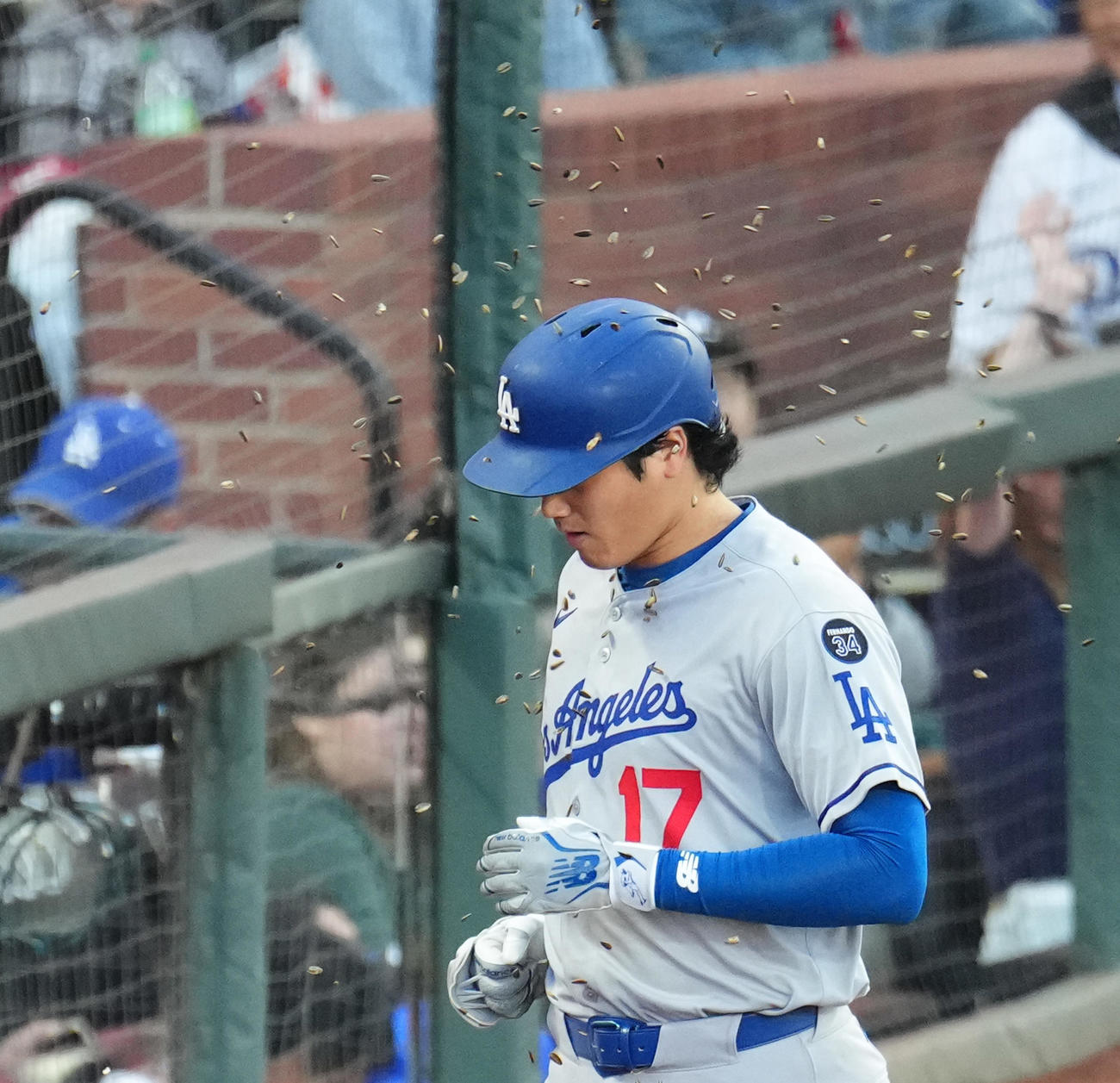 ジャイアンツ対ドジャース　3回表ドジャース無死、中越えに49号ソロ本塁打を放ち、ヒマワリの種を浴びる大谷（撮影・菅敏）