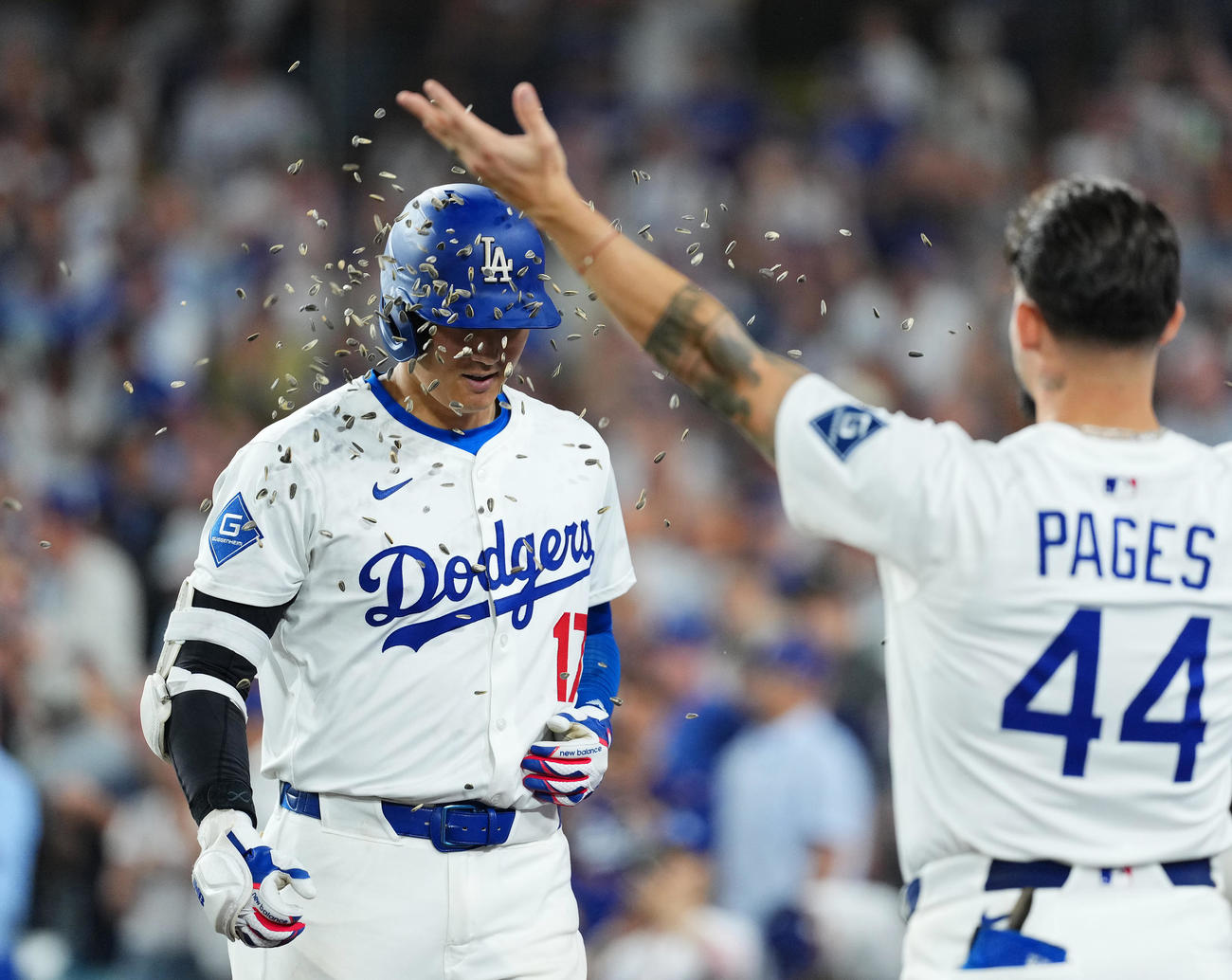 ドジャース対フィリーズ　8回裏ドジャース無死、右越えに50号ソロ本塁打を放ち、ヒマワリの種を浴びる大谷（撮影・菅敏）