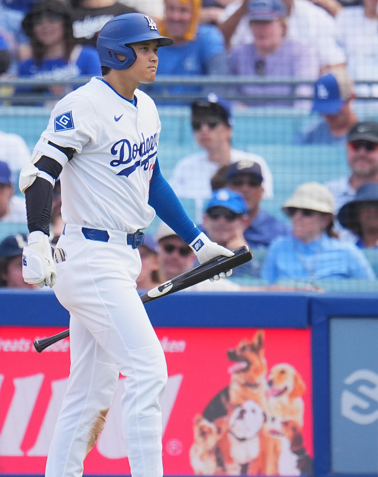 ドジャース対ジャイアンツ　8回裏ドジャース無死、空振りの三振に倒れ、ベンチに戻る大谷（撮影・菅敏）