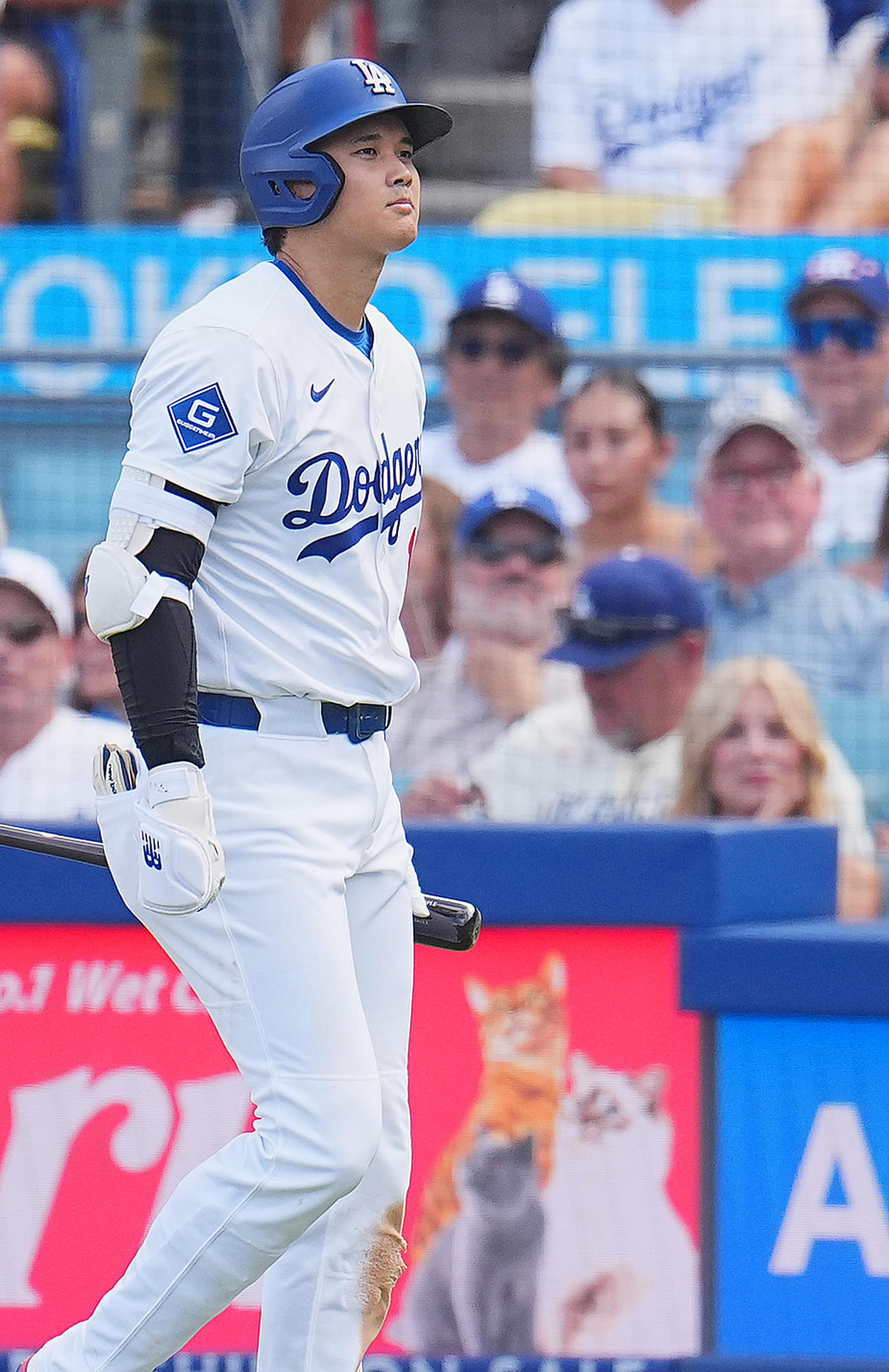 ドジャース対ジャイアンツ　8回裏ドジャース無死、空振りの三振に倒れ、ベンチに戻る大谷（撮影・菅敏）
