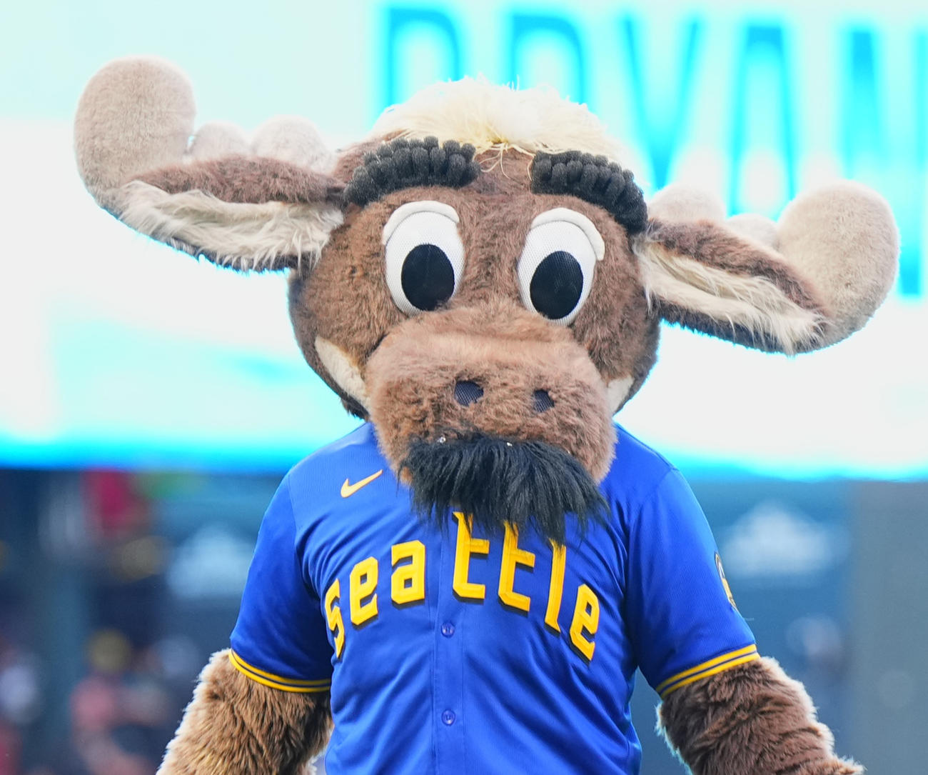 マリナーズ対ドジャース　試合前にフィールドを駆け回るマリナーズ・キャラクターのマリナー・ムース（撮影・菅敏）