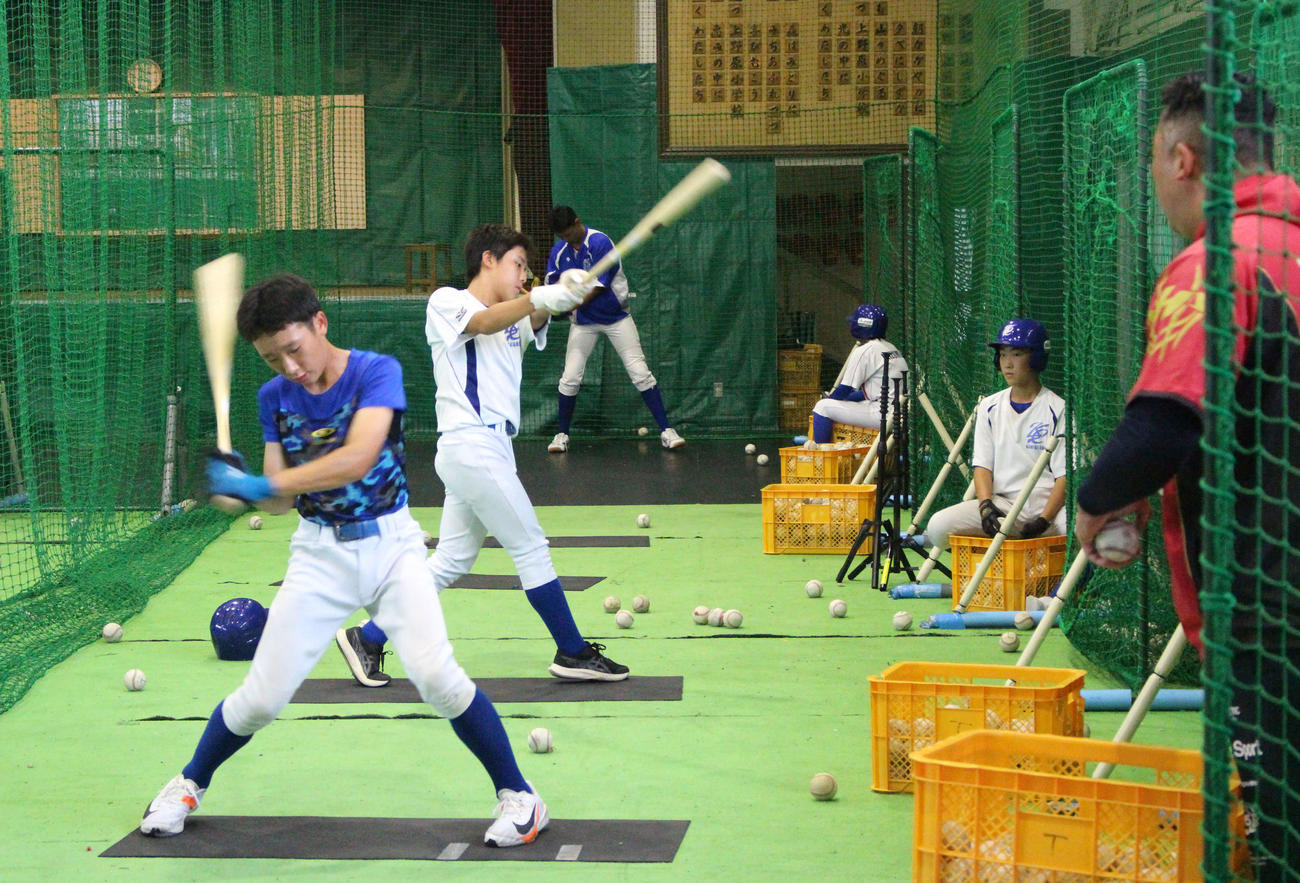 室内練習場で打撃練習する金ケ崎リトルシニアの選手たち（撮影・久保賢吾）