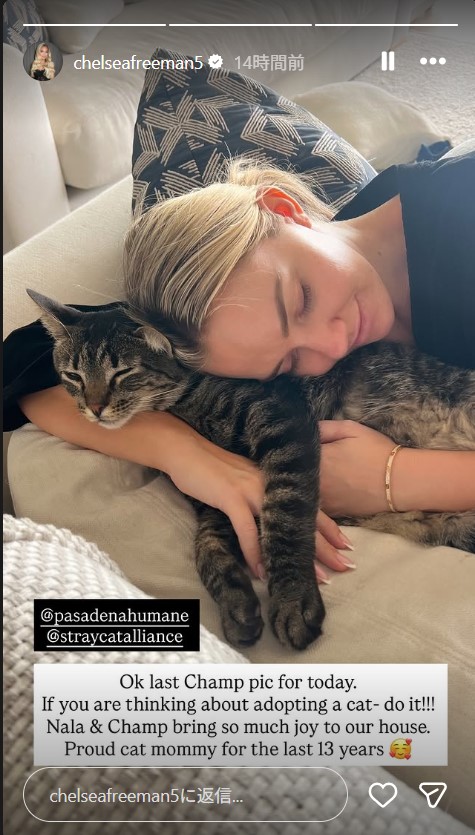 フリーマンの家で飼われる元保護猫チャンプ（フリーマンの妻チェルシー夫人のインスタグラムから）
