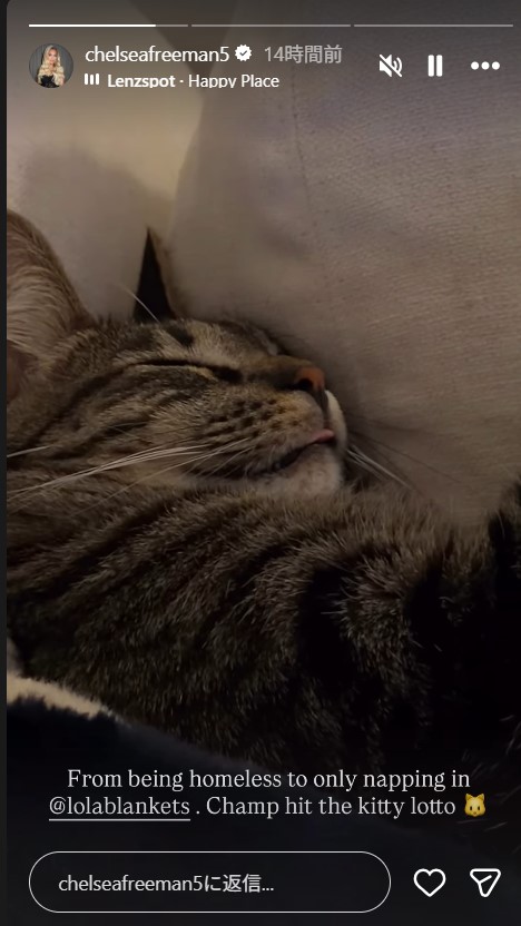 フリーマンの家で飼われる元保護猫チャンプ（フリーマンの妻チェルシー夫人のインスタグラムから）