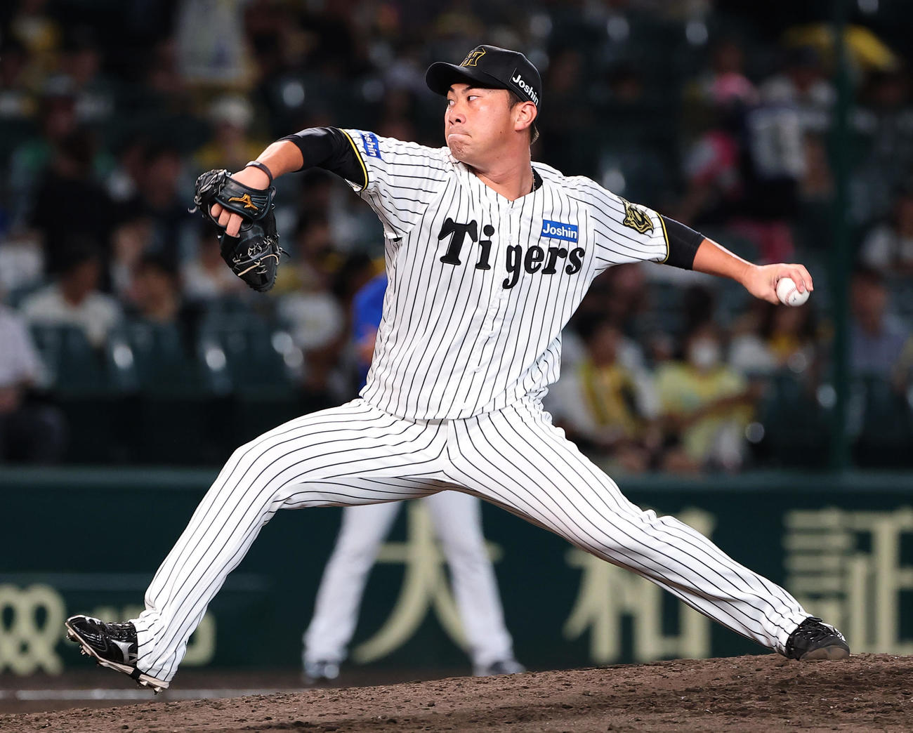 阪神桐敷拓馬（2025年9月撮影）