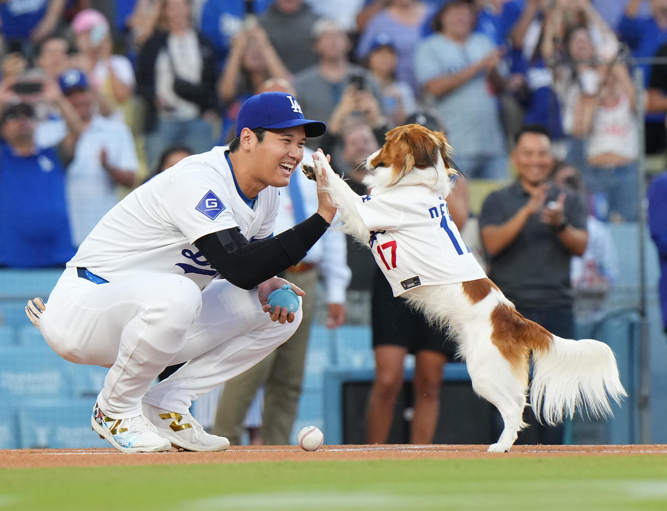2024年8月、ドジャース対オリオールズ　始球式を務めた愛犬デコピンとタッチをする大谷