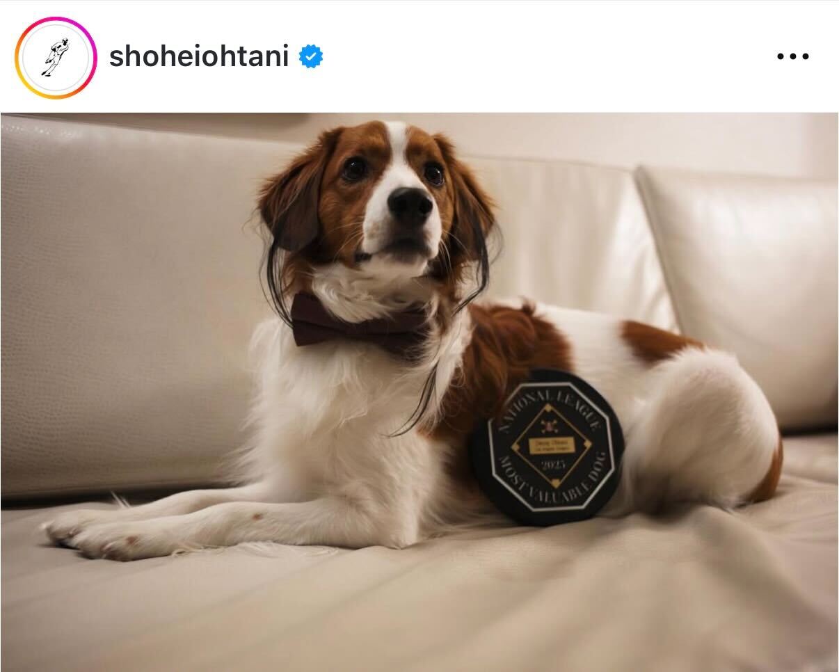 大谷翔平のインスタグラムから