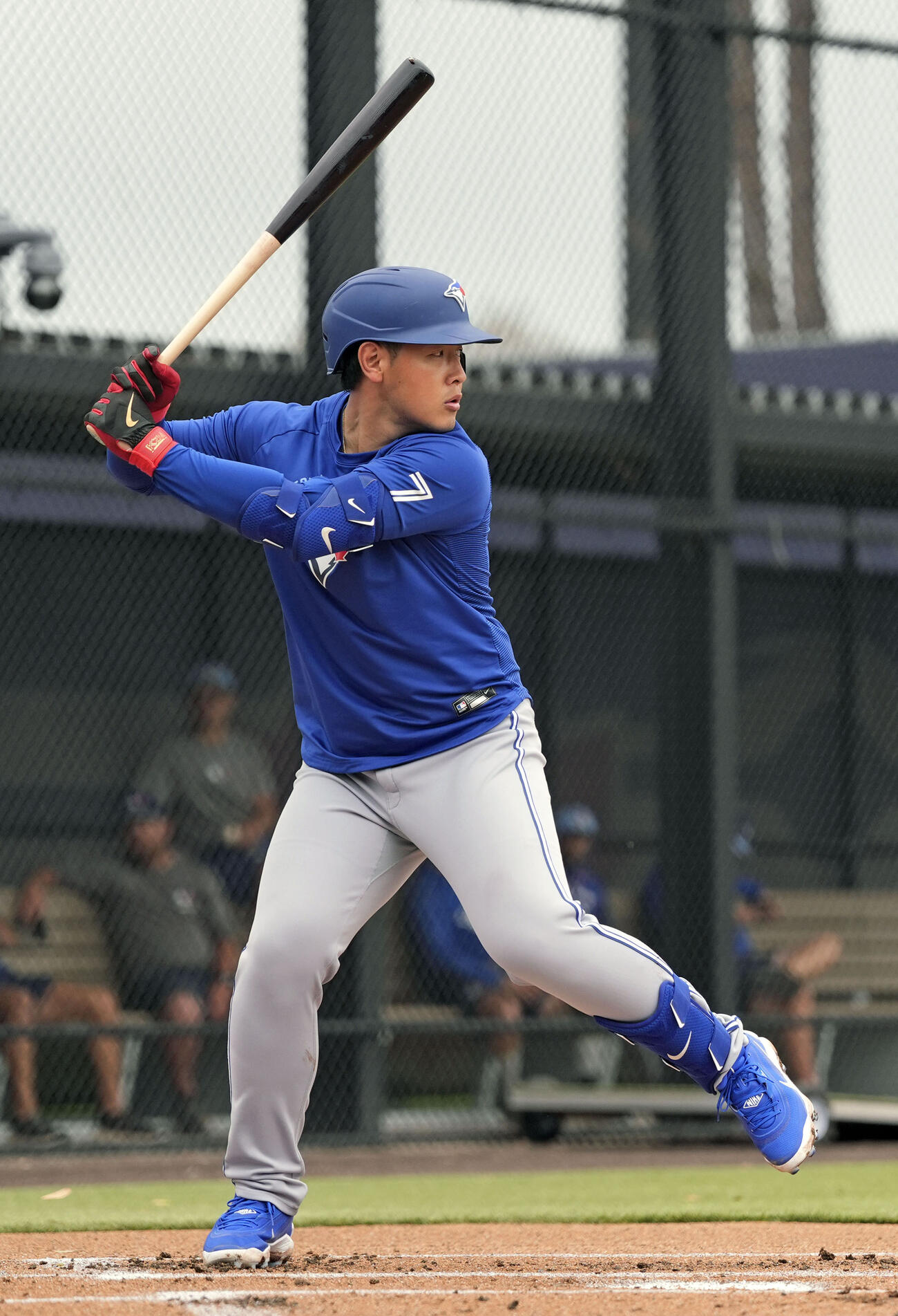 実戦形式の練習で、打席で構えるブルージェイズ・岡本＝ダンイーデン（共同）