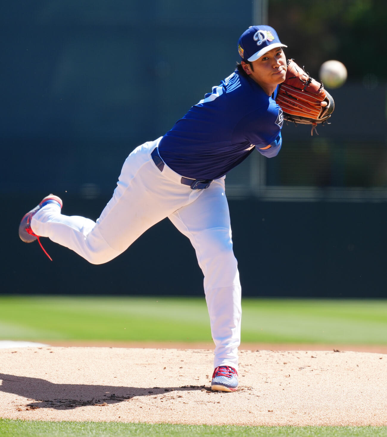 ジャイアンツ対ドジャース　力投するドジャース先発の大谷（撮影・垰建太）