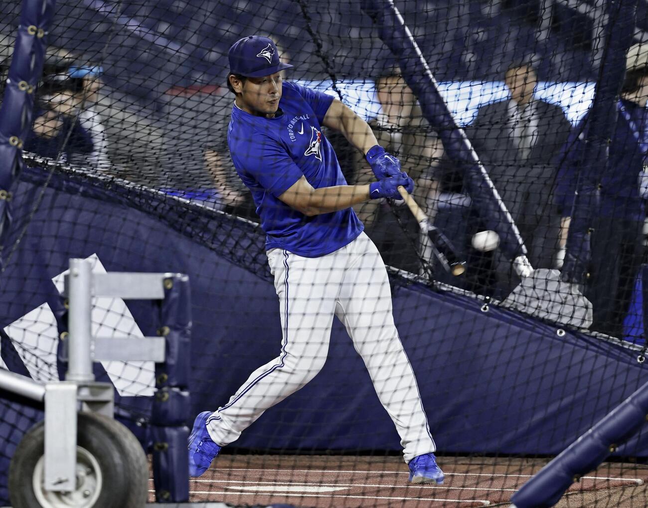 試合前、打撃練習するブルージェイズ岡本（共同）