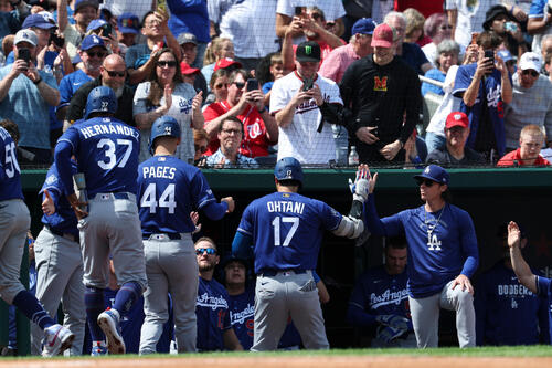 3回、1号同点3ランを放った大谷は仲間に迎えられる(AP)