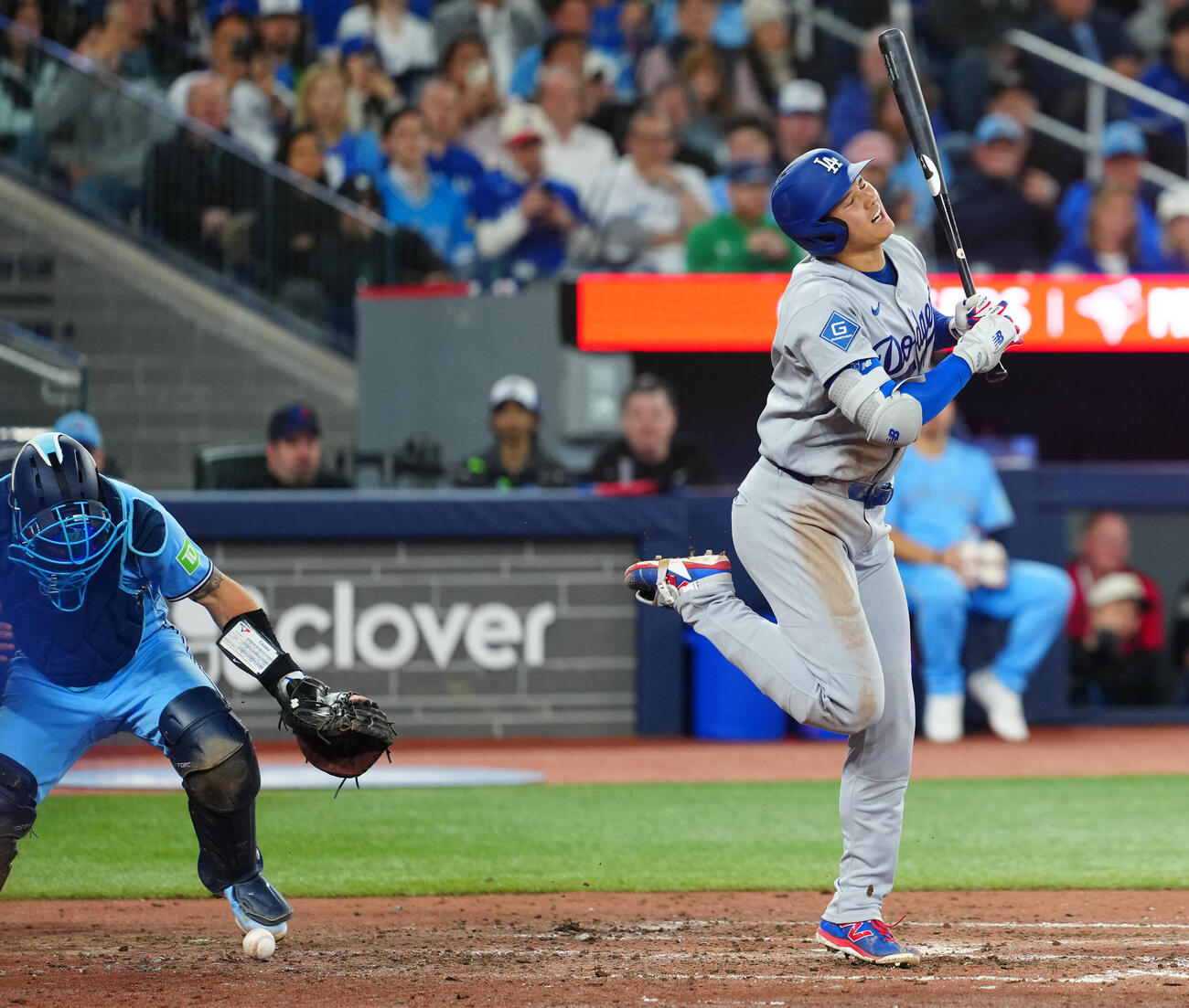 ブルージェイズ対ドジャース　5回表ドジャース2死一塁、死球を受ける大谷（撮影・垰建太）