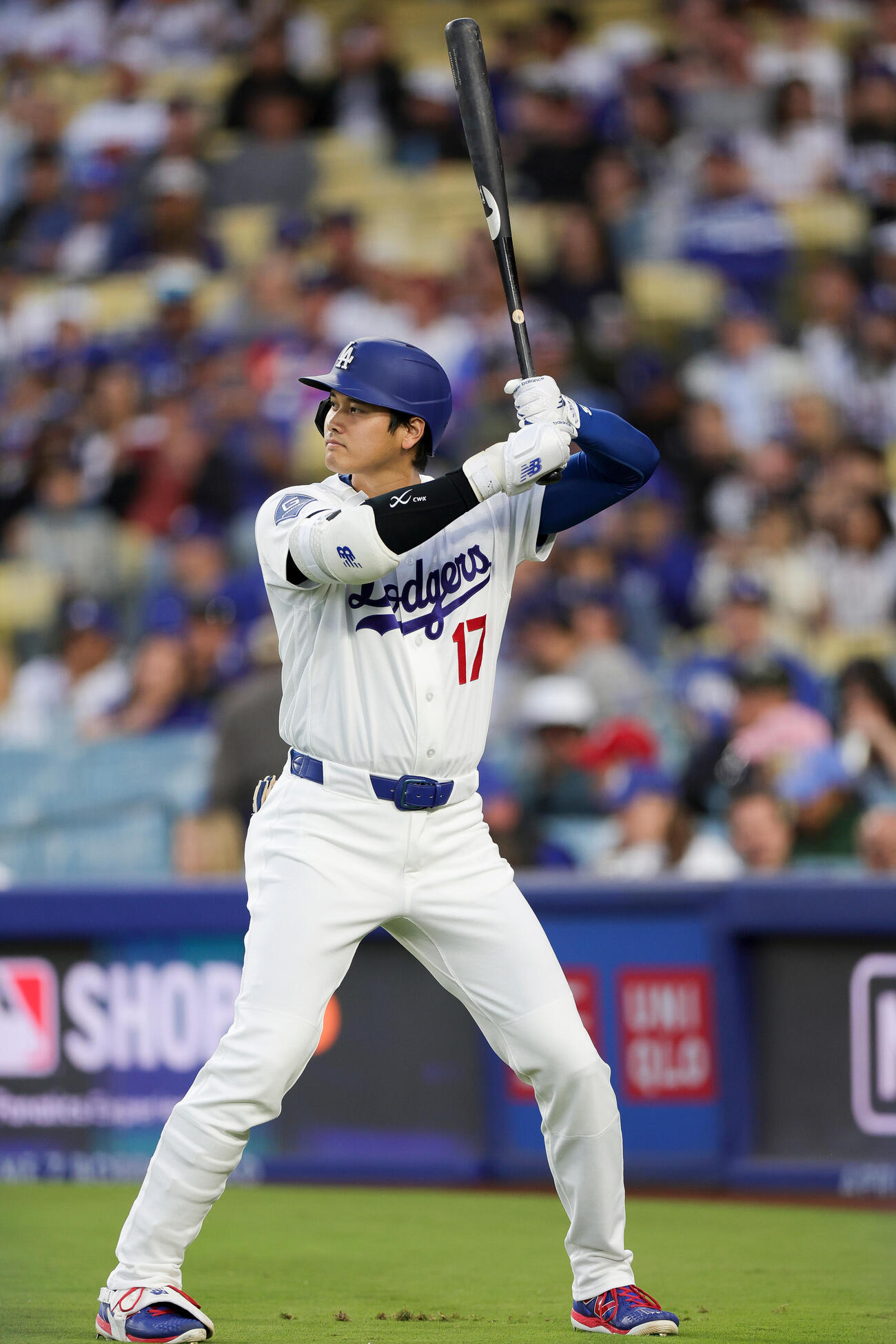 カブス戦に出場のドジャース大谷 (AP)