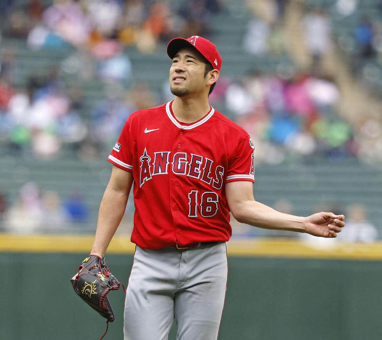 ホワイトソックス戦の2回、左肩を気にするしぐさを見せるエンゼルス菊池（共同）